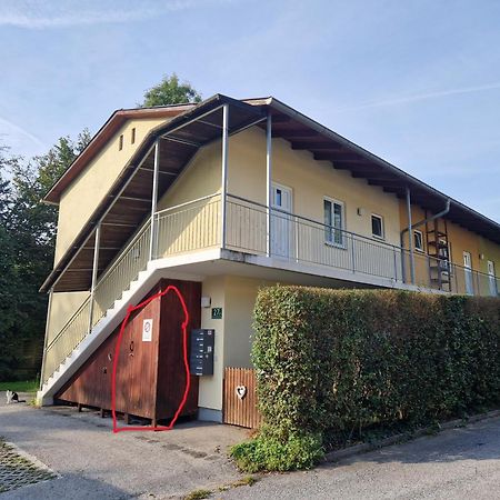 Erholung Pur Nahe Krankenhaus & Uni Mit Parkplatz! Appartement Graz Buitenkant foto